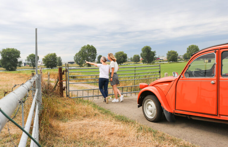 Eend-huren-limburg-mook-ellis-fleur