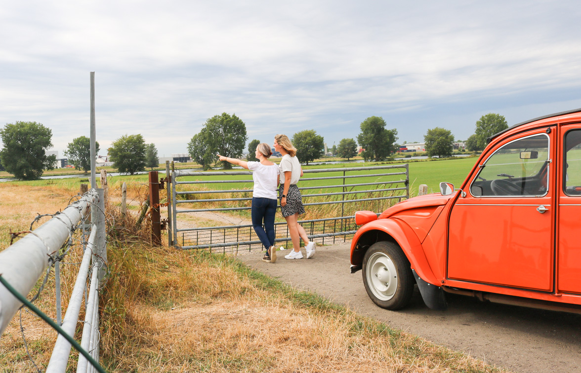 Eend-huren-limburg-mook-ellis-fleur