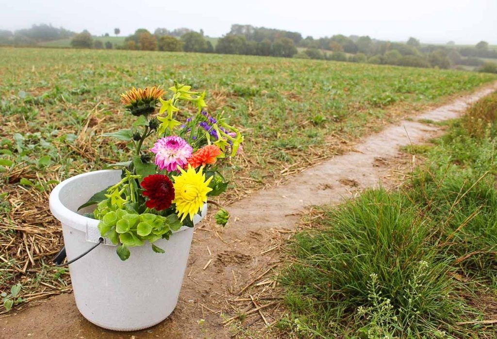 Fien-Fleur-Emmer-Bloemen-Eyserheide