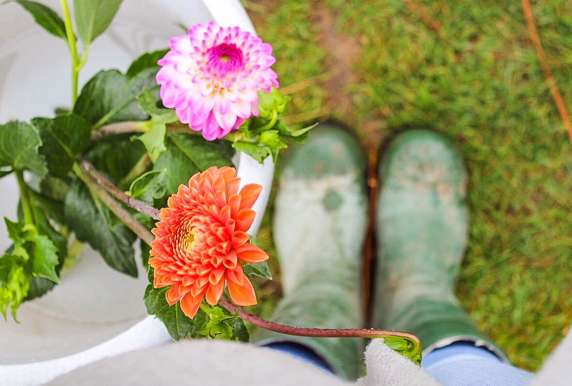 Fien-Fleur-Emmer-bloemen-pluktuin