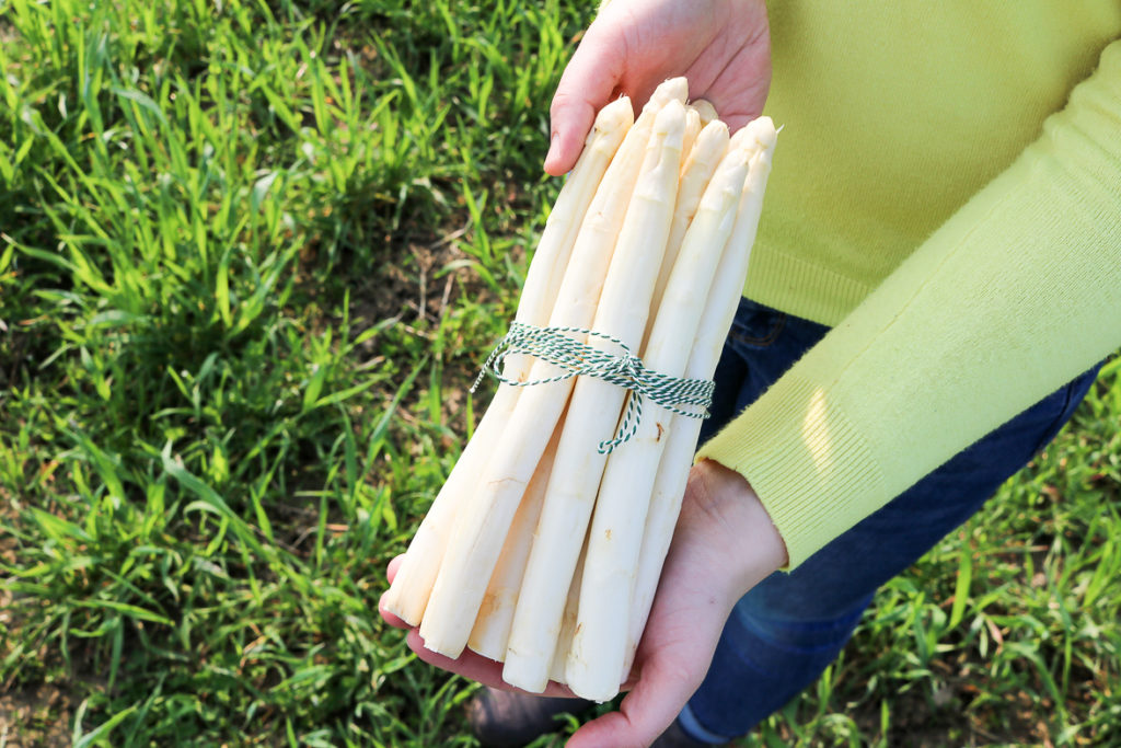 Fleur-Ellis-asperges-3