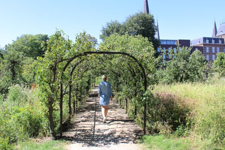 perenhaag-sittard-ursulinentuin