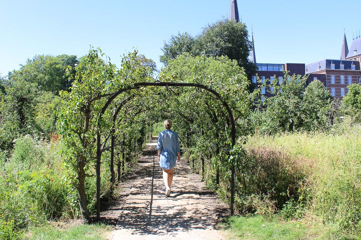perenhaag-sittard-ursulinentuin