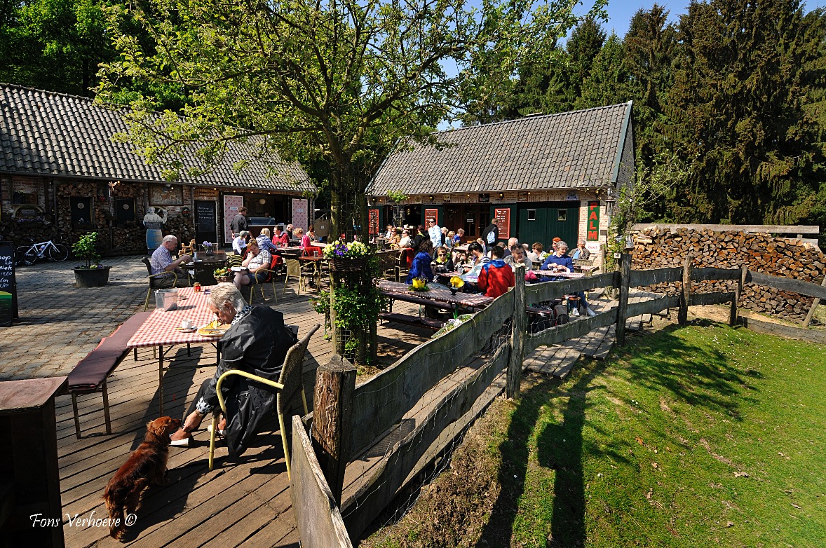 Hijgend-Hert-terras