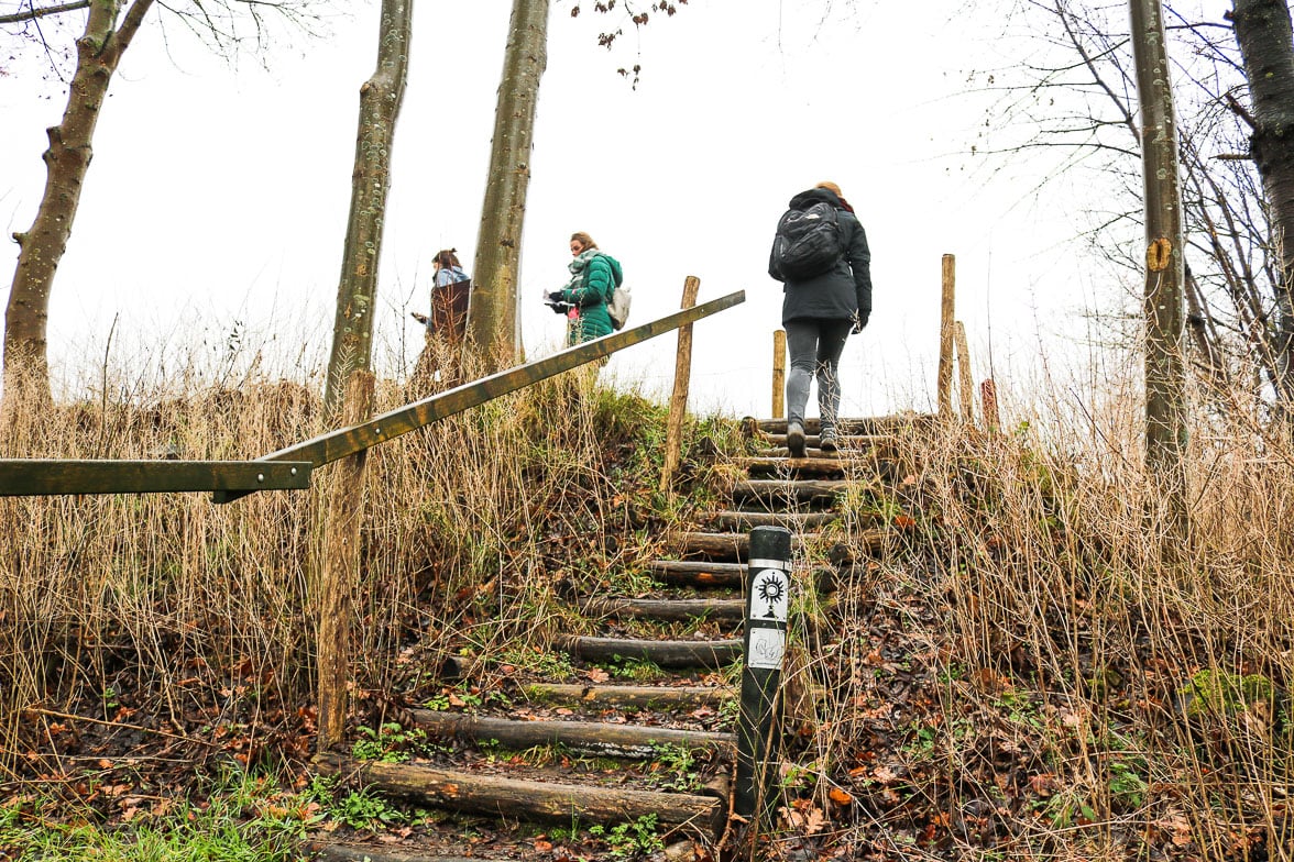 Mesch-wandelen-pluktuin