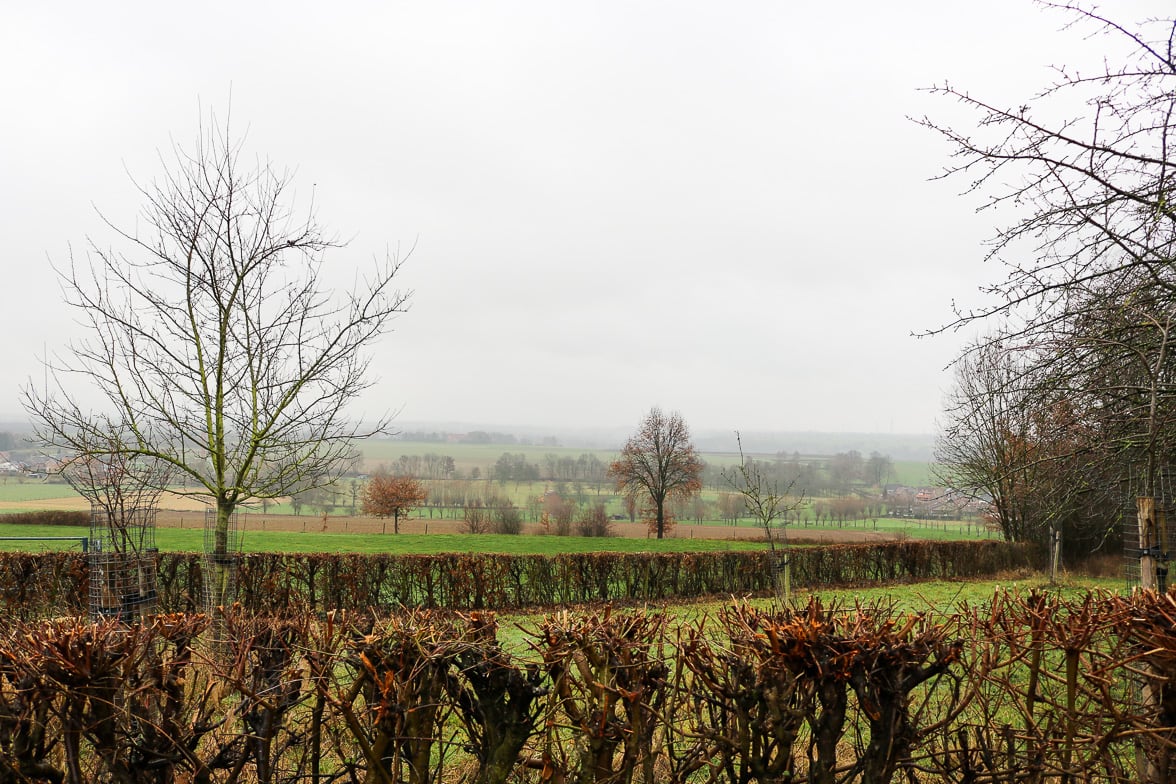 Mesch-wandelen-uitzicht