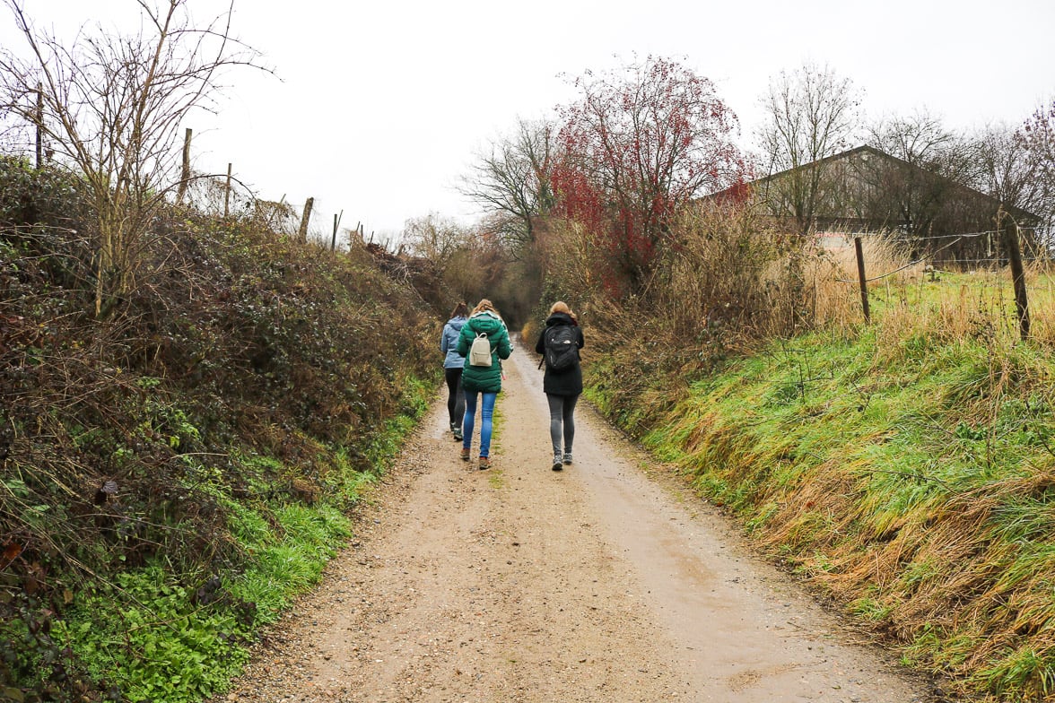 Mesch-wandelen-vriendinnen