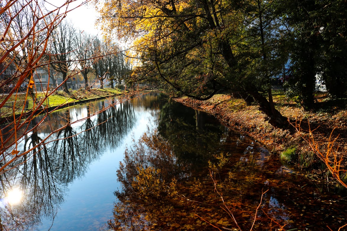 Natuurfoto-herfst-limburg