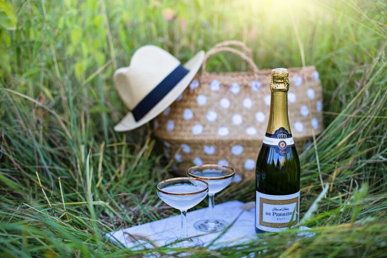 Picknicken-Limburg-Brut