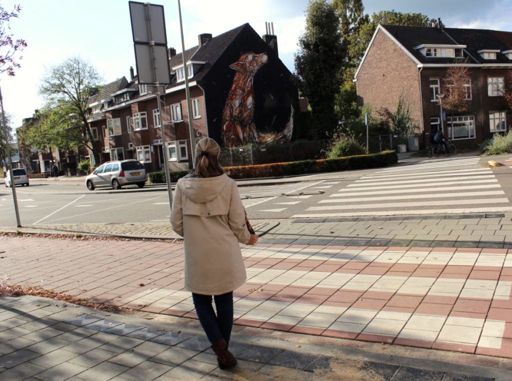 Streetart-Heerlen-Schakelweg-Vos