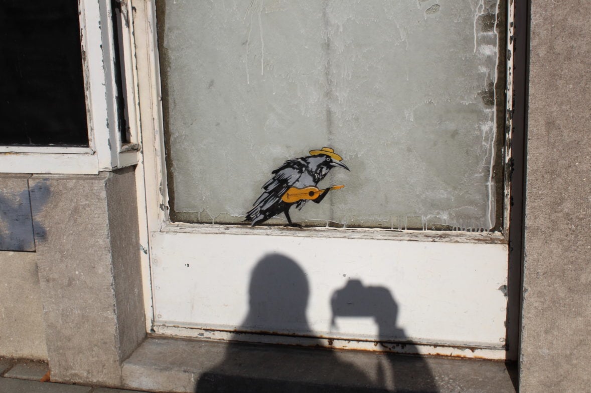 Streetart-Heerlen-Spoorsingel-Vogel-Schaduw