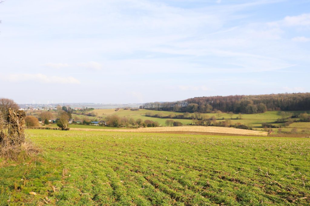 Vijlenerberg
