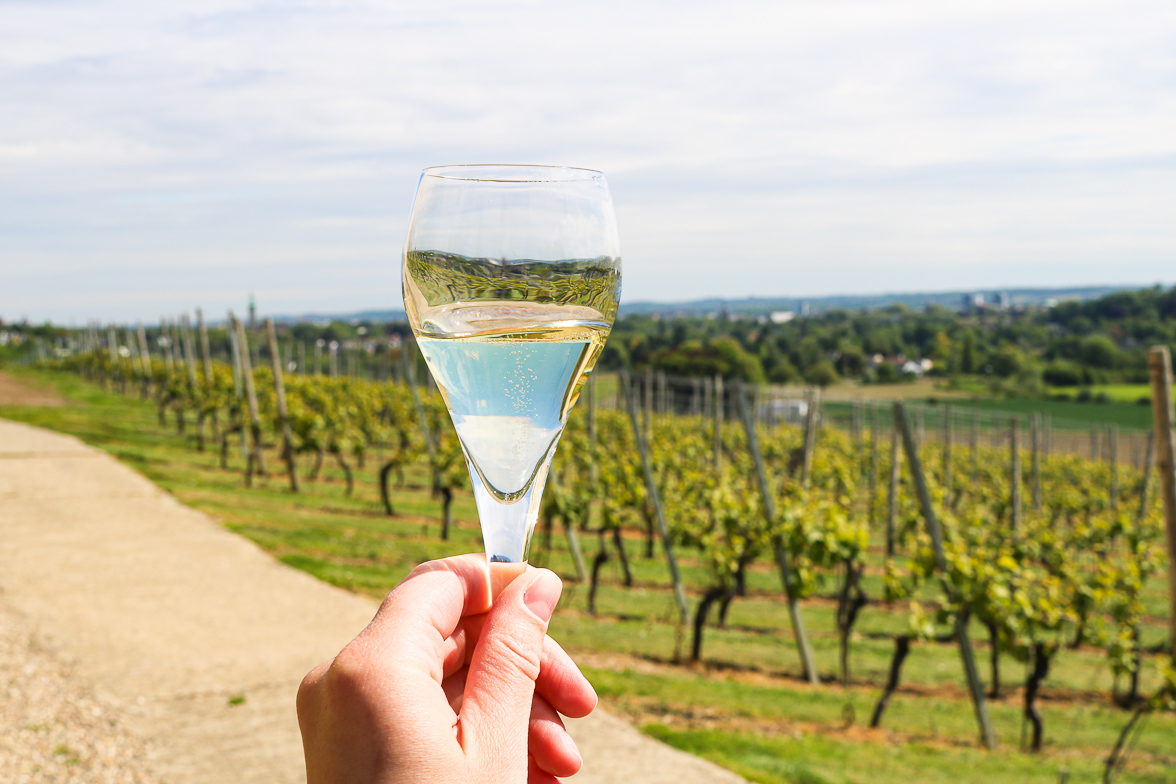 apostelhoeve-bovino-bubbels