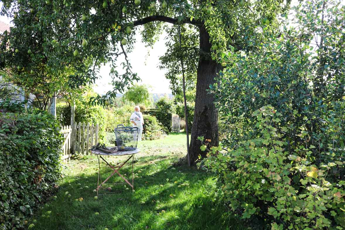 bedandbreakfast-tuin-mam