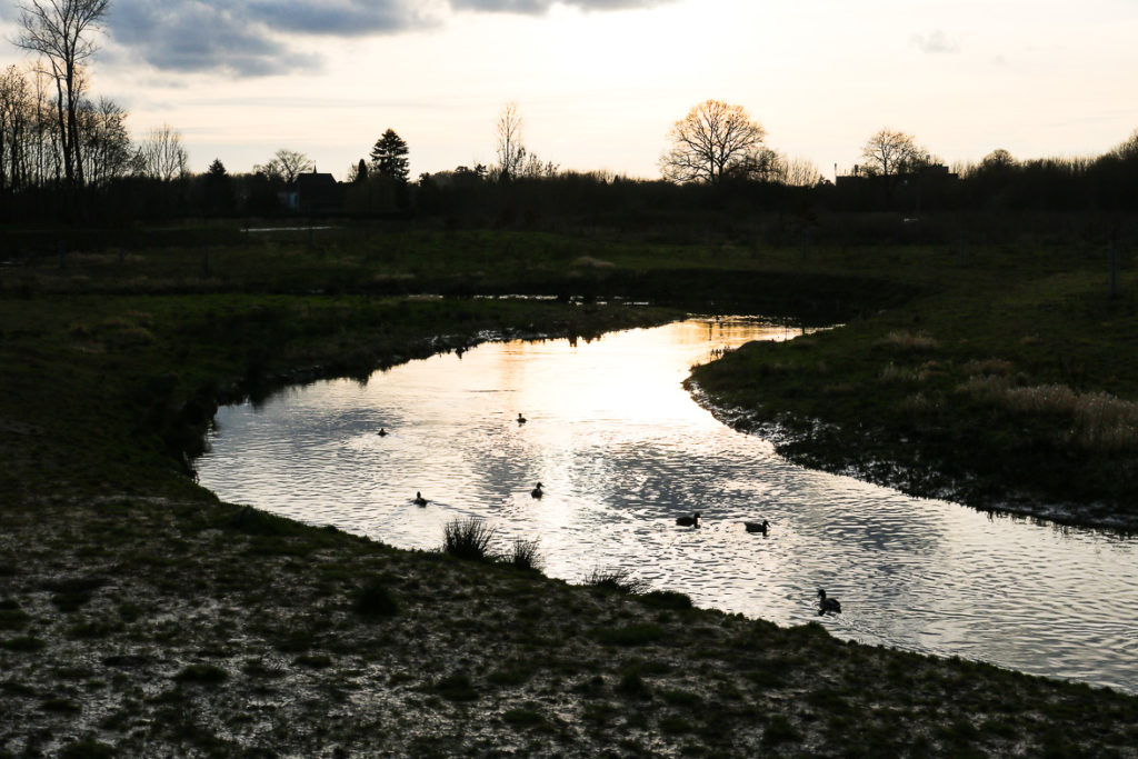 Frisse neus halen bij de Geleenbeek 10 geleenbeek-pater-karel-beek-eendjes