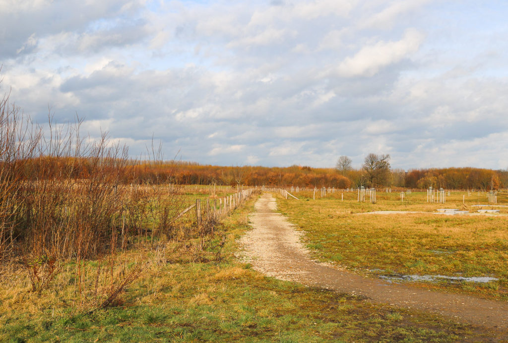 Frisse neus halen bij de Geleenbeek 9 geleenbeek-pater-karel-wandelpad