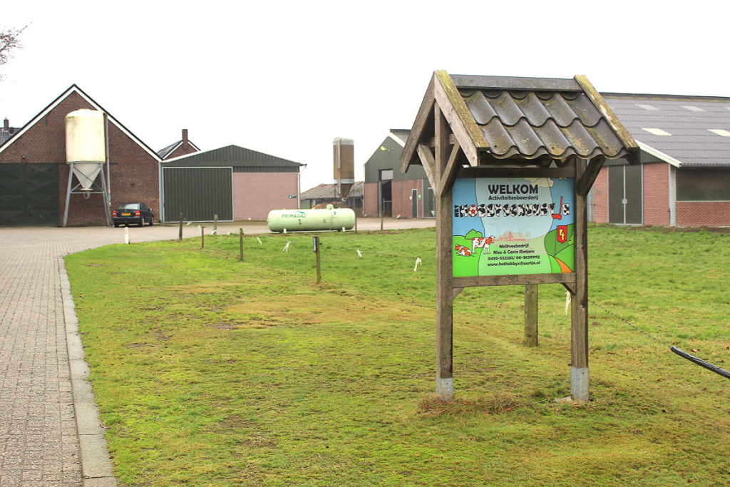 koe-knuffelen-activiteitenboerderij-welkom