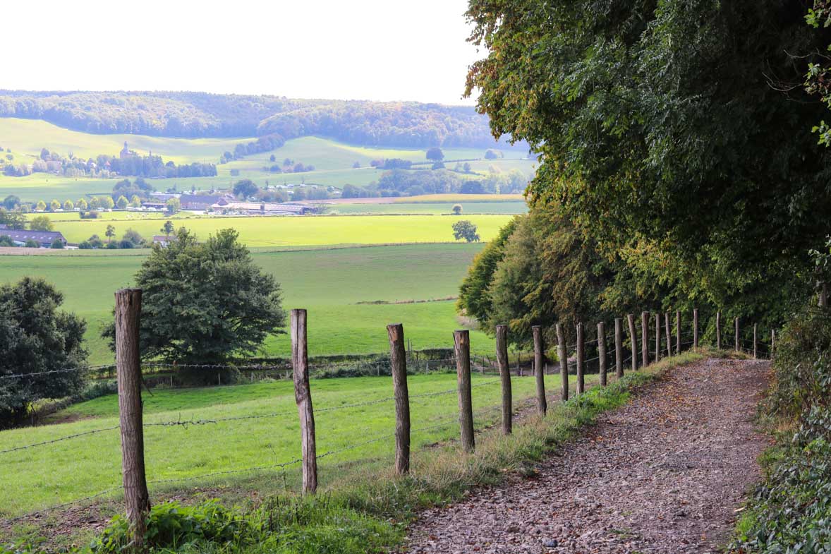 wandelen-bos-uitzicht