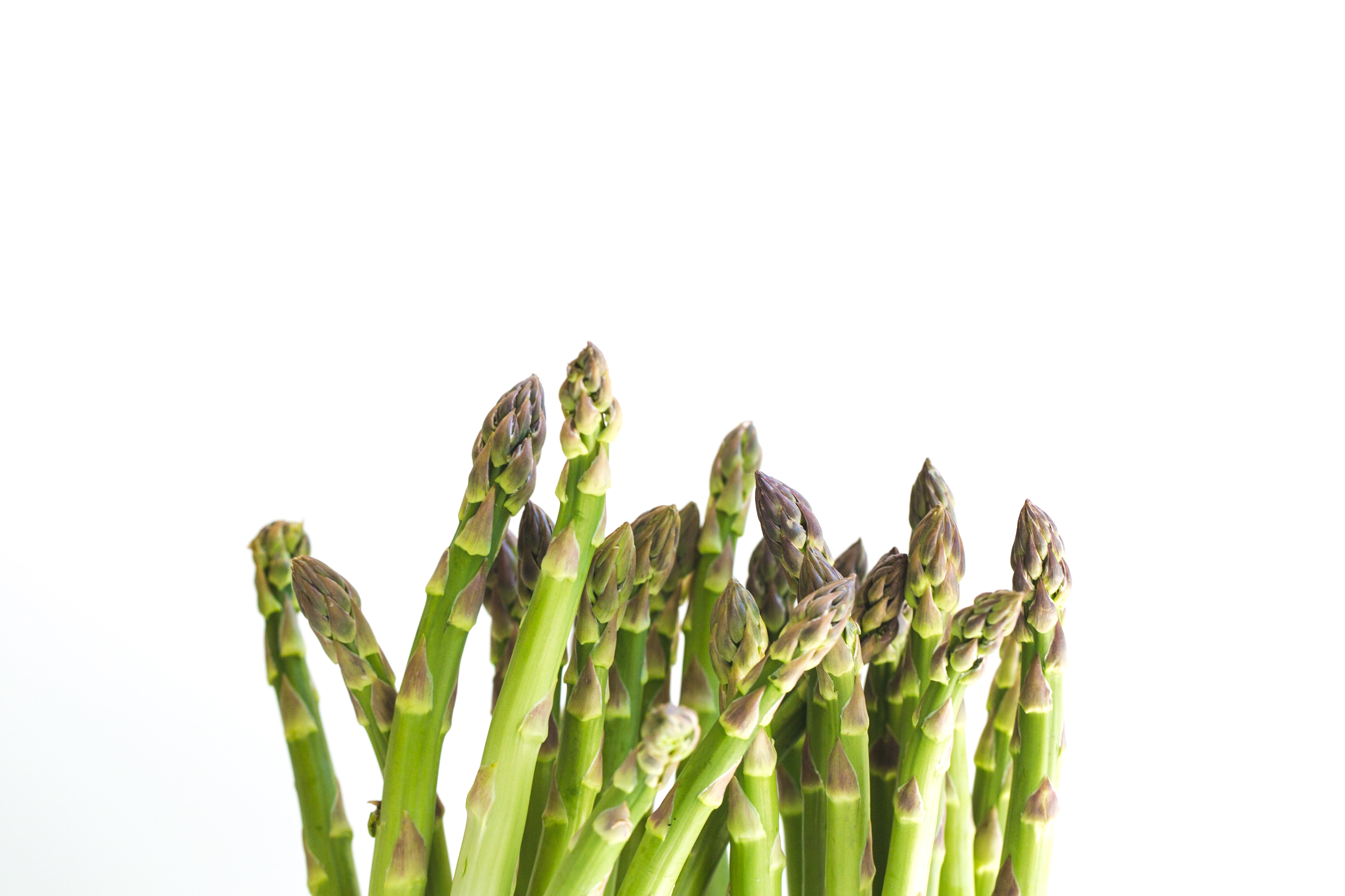 witte-goud-weetjes-asperges